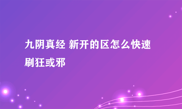 九阴真经 新开的区怎么快速刷狂或邪