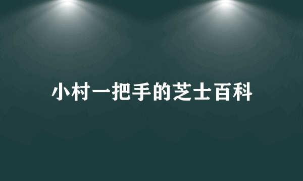 小村一把手的芝士百科