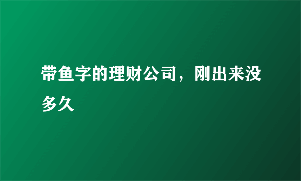 带鱼字的理财公司，刚出来没多久