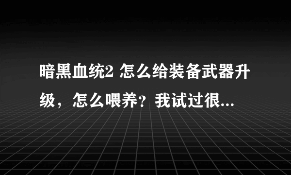 暗黑血统2 怎么给装备武器升级，怎么喂养？我试过很多次好像都没有升级的提示，请问具体怎么操作？