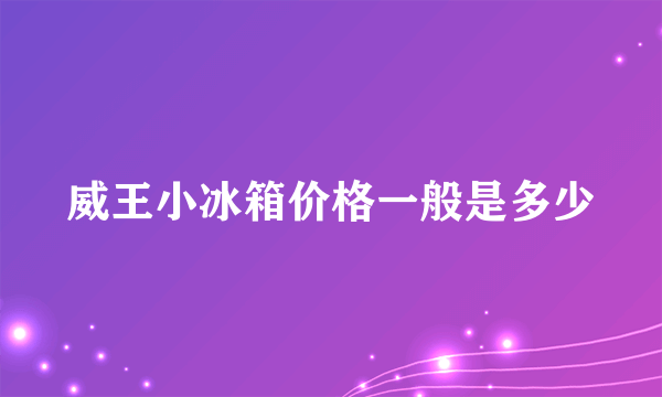 威王小冰箱价格一般是多少