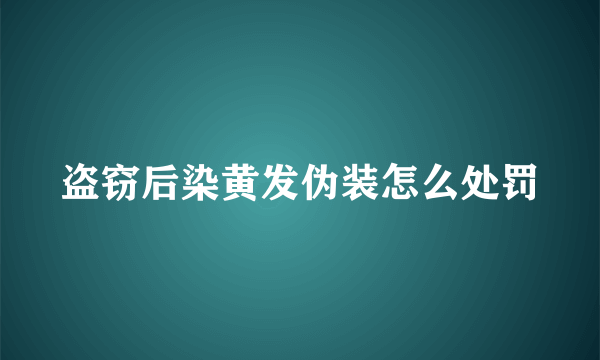 盗窃后染黄发伪装怎么处罚