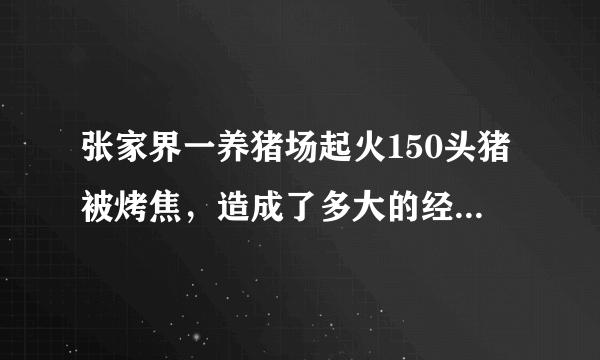 张家界一养猪场起火150头猪被烤焦，造成了多大的经济损失？