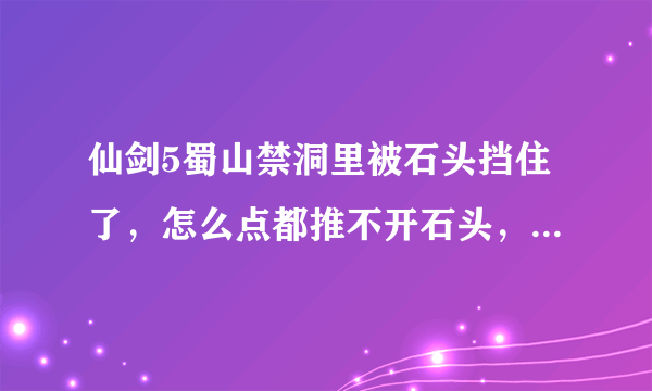 仙剑5蜀山禁洞里被石头挡住了，怎么点都推不开石头，被自动弹回。。该怎么过？