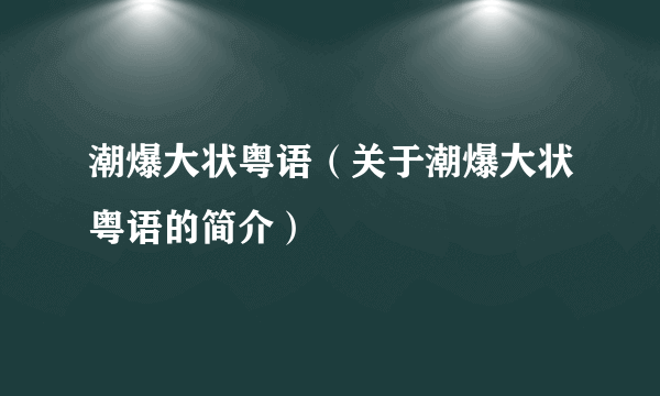 潮爆大状粤语（关于潮爆大状粤语的简介）