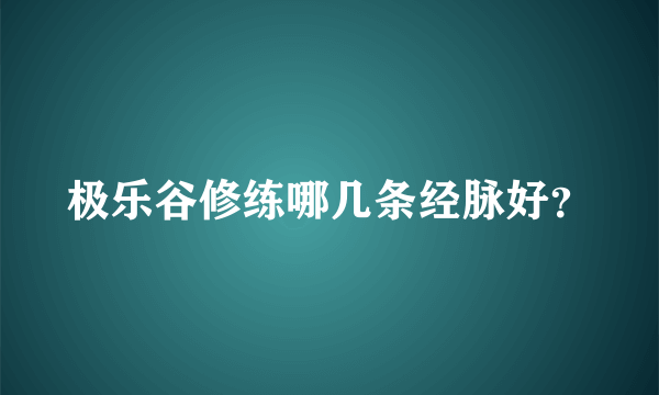 极乐谷修练哪几条经脉好？