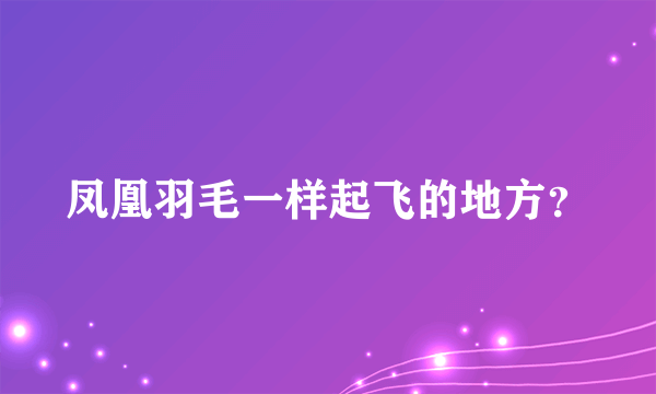 凤凰羽毛一样起飞的地方？