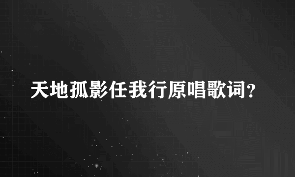 天地孤影任我行原唱歌词？