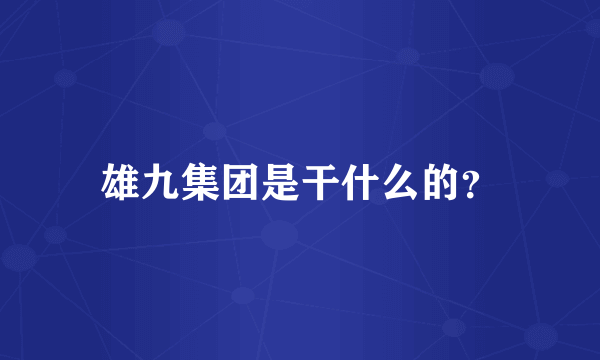 雄九集团是干什么的？