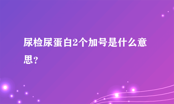 尿检尿蛋白2个加号是什么意思？