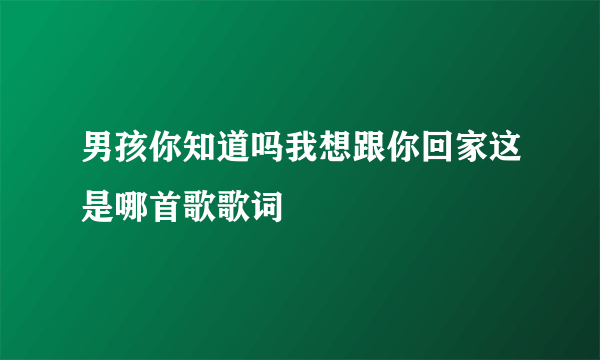 男孩你知道吗我想跟你回家这是哪首歌歌词