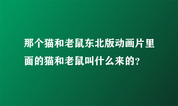 那个猫和老鼠东北版动画片里面的猫和老鼠叫什么来的？