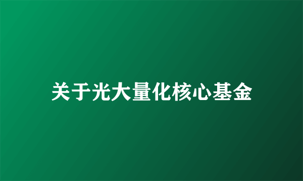 关于光大量化核心基金