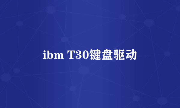 ibm T30键盘驱动