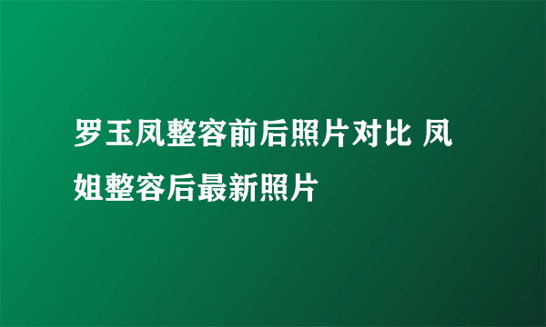 罗玉凤整容前后照片对比 凤姐整容后最新照片