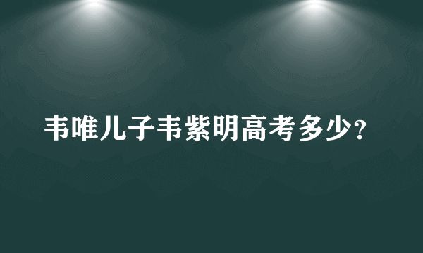 韦唯儿子韦紫明高考多少？