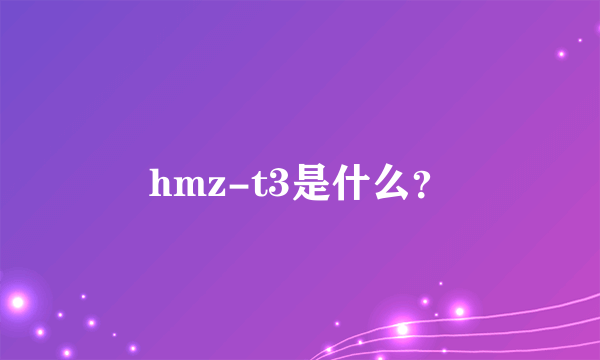 hmz-t3是什么？