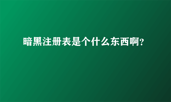 暗黑注册表是个什么东西啊？