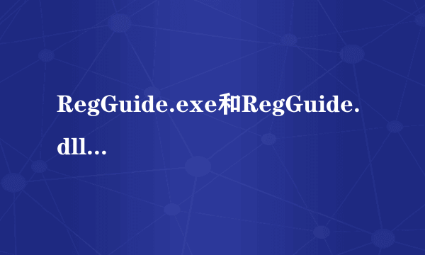 RegGuide.exe和RegGuide.dll有什么区别？