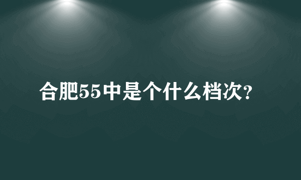 合肥55中是个什么档次？