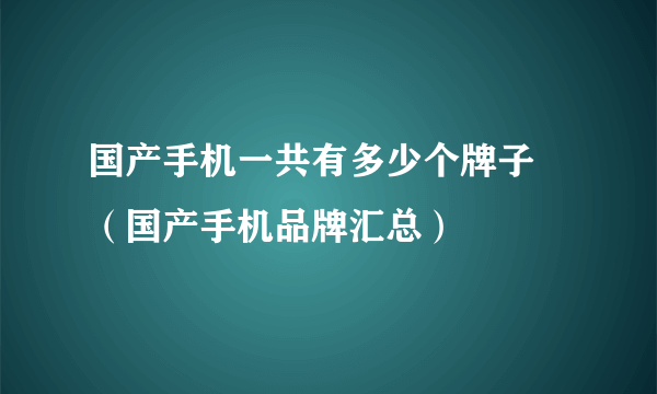 国产手机一共有多少个牌子 （国产手机品牌汇总）