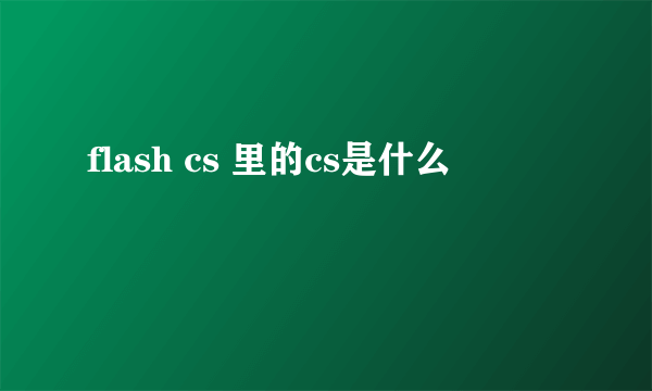 flash cs 里的cs是什么