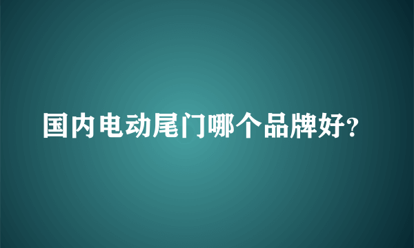 国内电动尾门哪个品牌好？