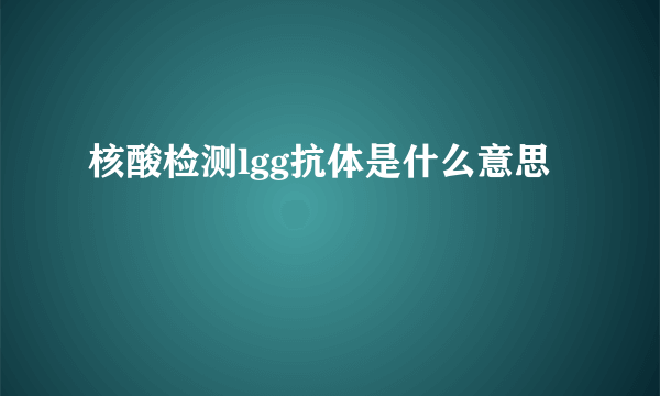 核酸检测lgg抗体是什么意思