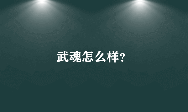 武魂怎么样？