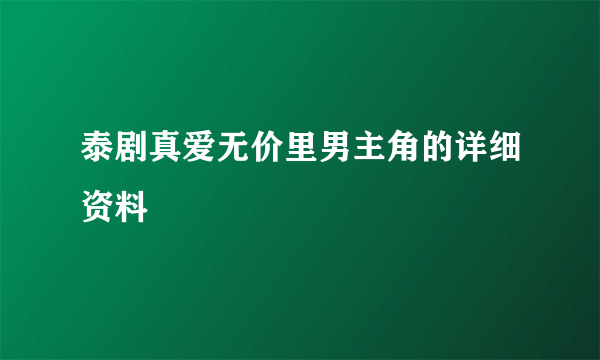 泰剧真爱无价里男主角的详细资料