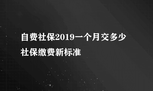 自费社保2019一个月交多少 社保缴费新标准