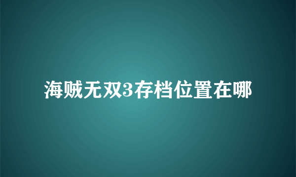 海贼无双3存档位置在哪