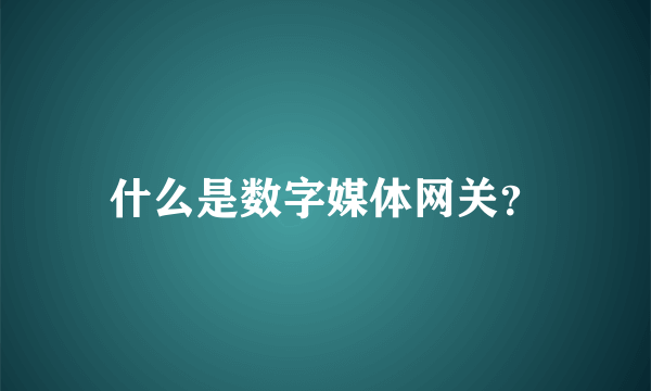 什么是数字媒体网关？