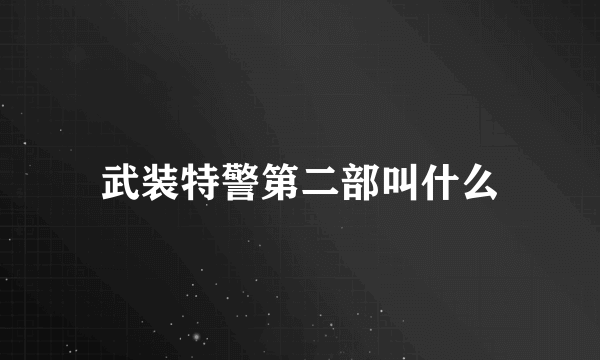 武装特警第二部叫什么