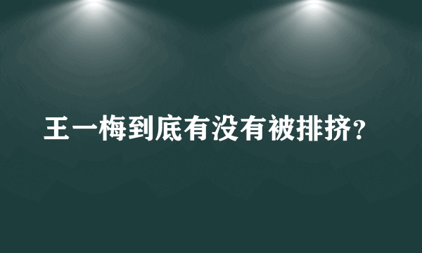 王一梅到底有没有被排挤？