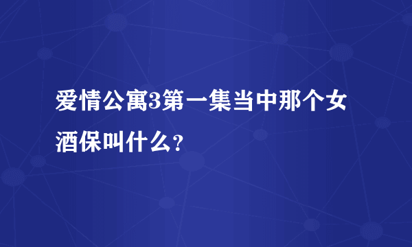 爱情公寓3第一集当中那个女酒保叫什么？