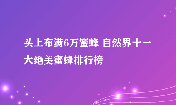 头上布满6万蜜蜂 自然界十一大绝美蜜蜂排行榜