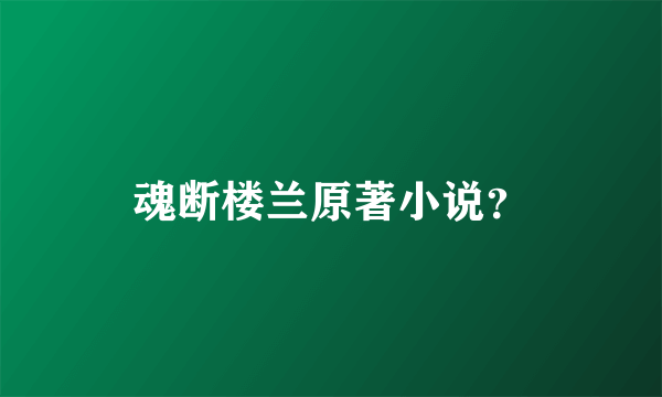 魂断楼兰原著小说？