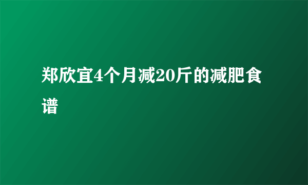 郑欣宜4个月减20斤的减肥食谱