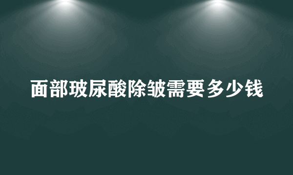 面部玻尿酸除皱需要多少钱