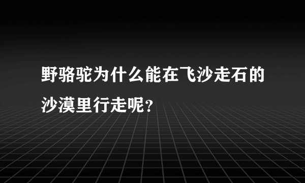 野骆驼为什么能在飞沙走石的沙漠里行走呢？