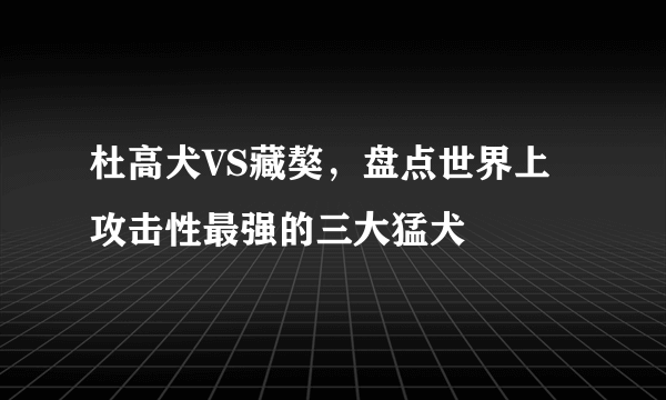 杜高犬VS藏獒，盘点世界上攻击性最强的三大猛犬