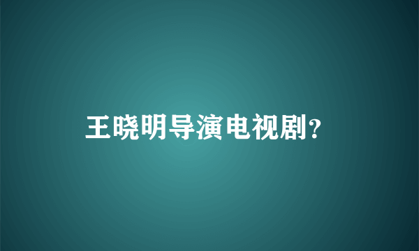 王晓明导演电视剧？