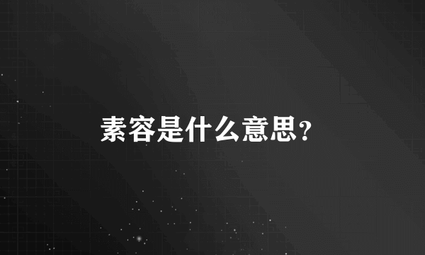 素容是什么意思？