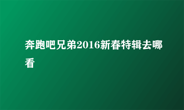 奔跑吧兄弟2016新春特辑去哪看