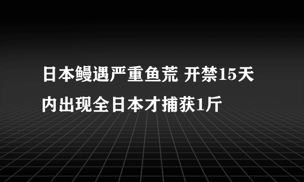 日本鳗遇严重鱼荒 开禁15天内出现全日本才捕获1斤