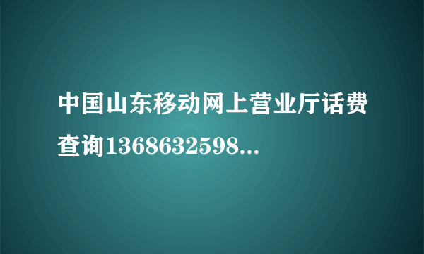 中国山东移动网上营业厅话费查询13686325981查佘额