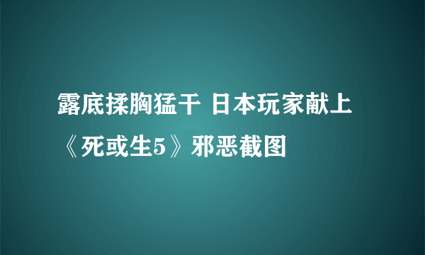 露底揉胸猛干 日本玩家献上《死或生5》邪恶截图