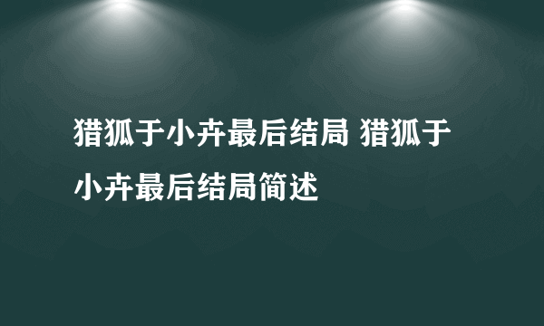 猎狐于小卉最后结局 猎狐于小卉最后结局简述