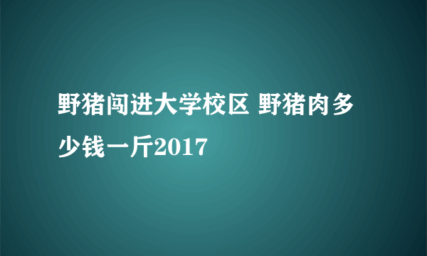 野猪闯进大学校区 野猪肉多少钱一斤2017